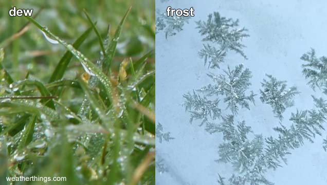close view of dew and ice crystals